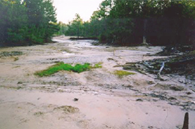 Webster Parish, LA site before restoration — barren, salt-damaged ground